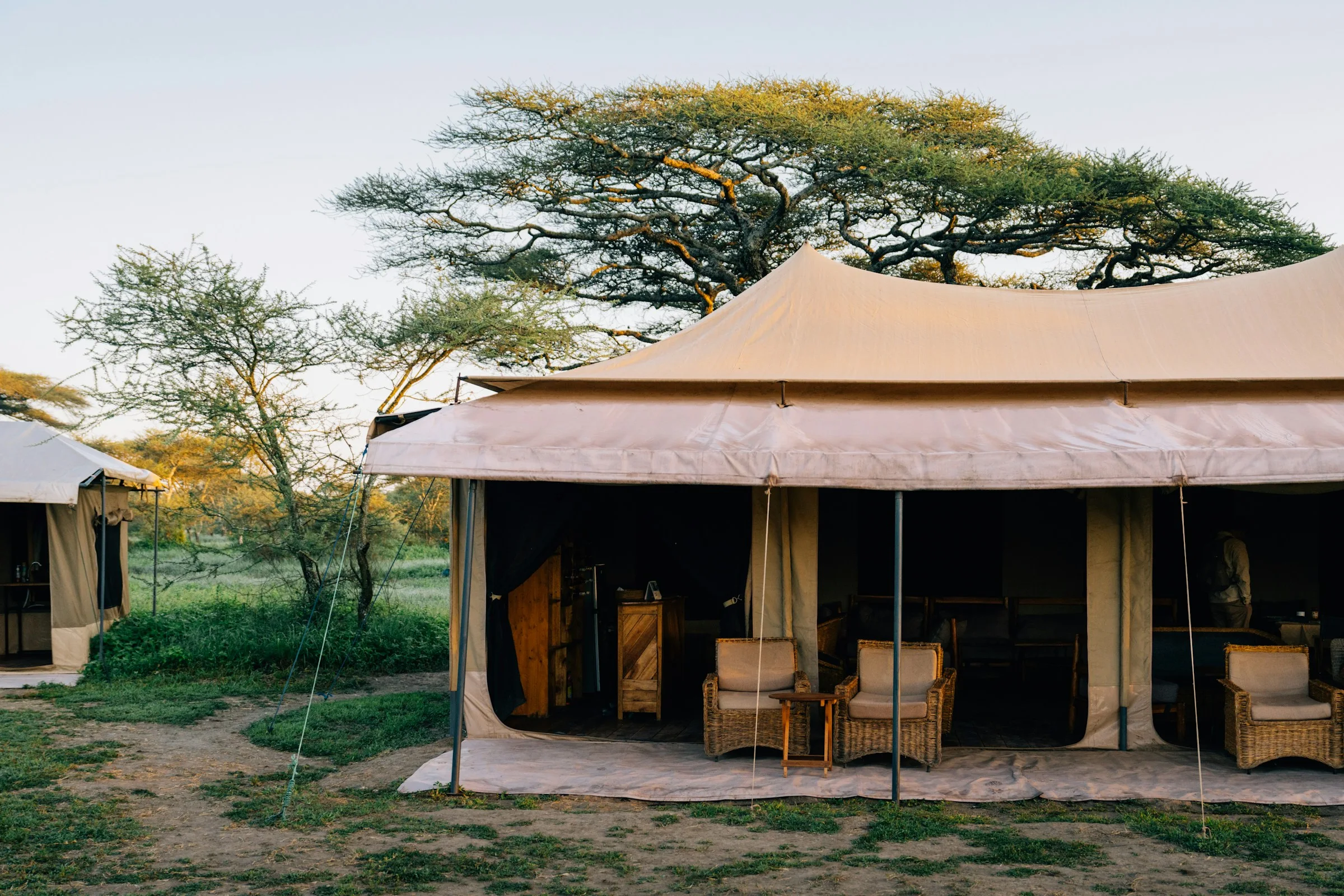 Savanna at dawn — fly-in lodge and open sky